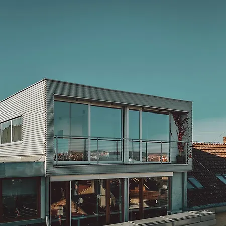 The Silver By Homester * Brno
