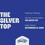 Silver By Homester Brünn